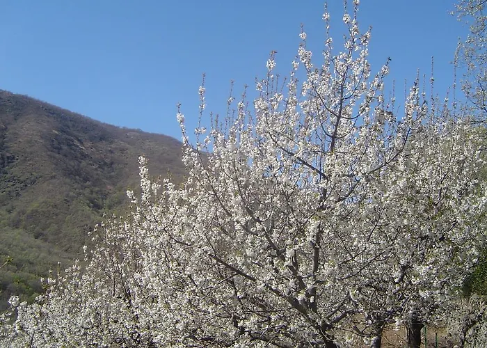 La Cueva Del Lince *
