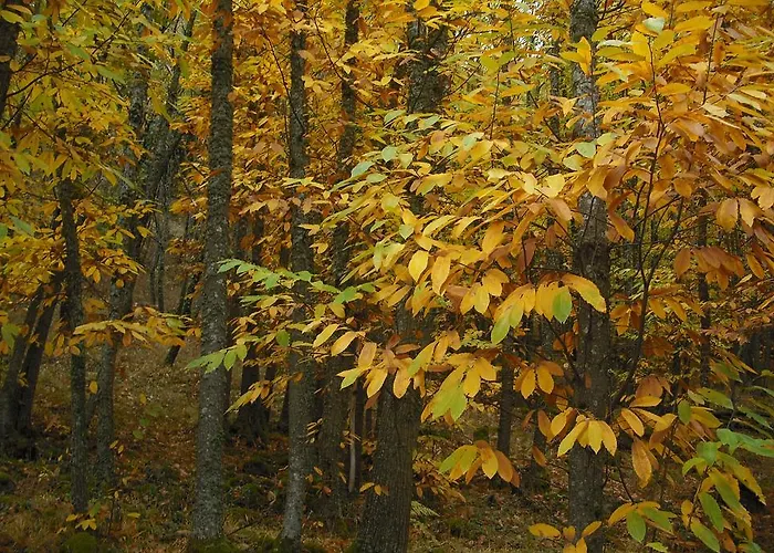 La Cueva Del Lince Séjour à la campagne Zarza De Granadilla
